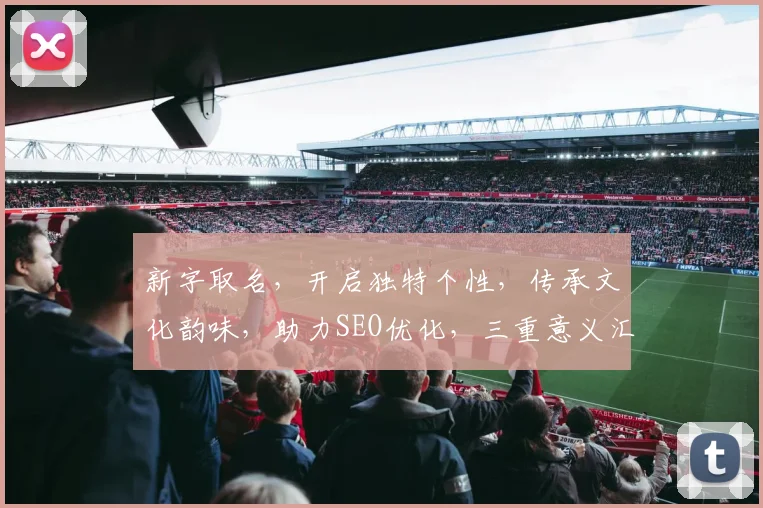 新字取名，开启独特个性，传承文化韵味，助力SEO优化，三重意义汇聚一身。