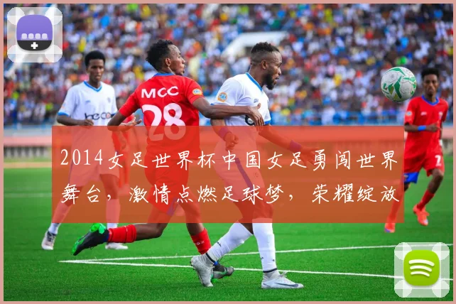 2014女足世界杯中国女足勇闯世界舞台，激情点燃足球梦，荣耀绽放