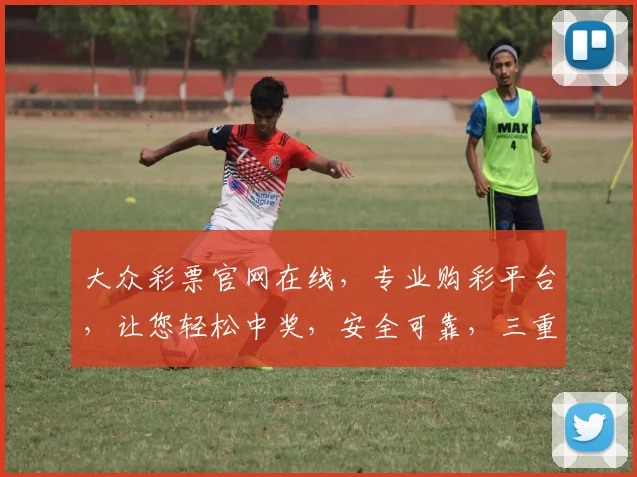 大众彩票官网在线，专业购彩平台，让您轻松中奖，安全可靠，三重保障，不容错过