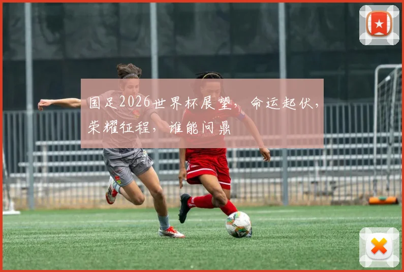 国足2026世界杯展望，命运起伏，荣耀征程，谁能问鼎